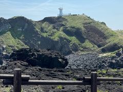 -涉地可支
