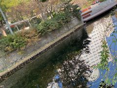 -兰溪青年公园