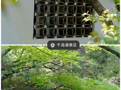 -千岛湖天屿景区