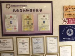 -宠爱国际动物医院·疑难骨科·心肾内科·皮肤科(太阳宫店)