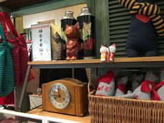 景点-猫咪博物馆(顶澳仔猫街店)