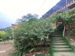 -正宗火盆自助烧烤·烤全羊·柴火鸡(龙泉山店)