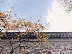 -个园