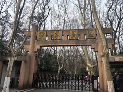 -灵谷景区