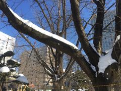 -北海道厅旧本厅舍(旧本庁舎)