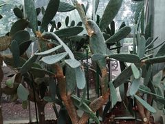 -南通洲际绿博园