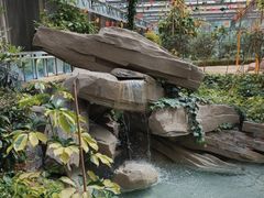 -南宫五洲植物乐园