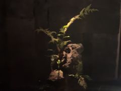 -泰之源足浴会所(玉环店)