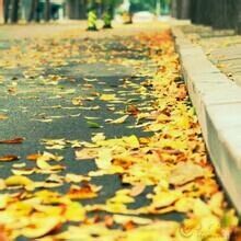 -星美国际影城(蓝湾店)