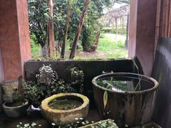 -金稼园·金平湖农家菜
