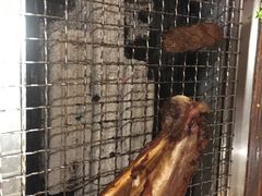 -柿子树炭烤羊腿(金台路店)