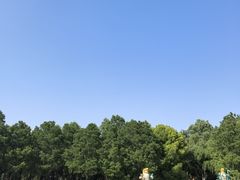 -洛阳市隋唐城遗址植物园