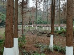 -重庆彩云湖湿地公园