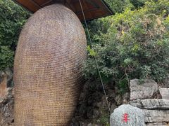 -抚仙湖禄充风景区
