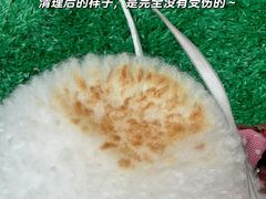 -美联众合动物医院·24h转诊中心