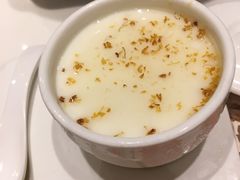 桂花双皮奶-虾饺妹·酒家(海珠广场店)