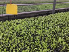 -上海多利农业发展有限公司