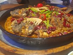 -老板恋上鱼(恒隆广场店)