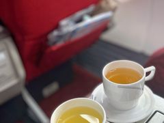 -海南海航航空信息系统公司