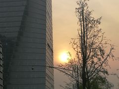 -阿斯牛牛·凉山菜(新会展店)