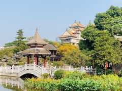 -顺峰山公园