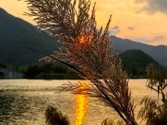 -杭州雅谷泉山庄酒店-餐厅