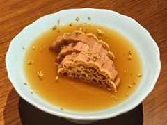 -觀芷隐轩