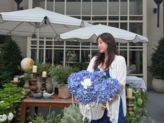 -茉里乐章(花园店)