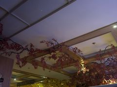 -悠然湯·汗蒸汤泉会馆