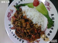 宫暴鸡丁盖饭-中医药大学-老3楼餐厅