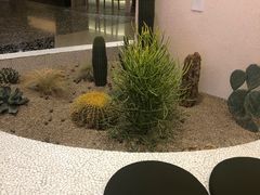 -OUR Bakery(SKP-S店)