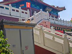 -曹州牡丹园