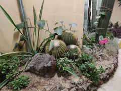 -正佳雨林生态植物园