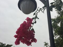-亚龙湾中心广场