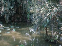 -中国科学院西双版纳热带植物园