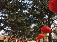 -贮水山儿童公园