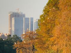 -肥妹烧腊店(洪湖店)