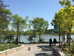 -东郊湿地公园
