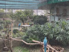 -九龙公园