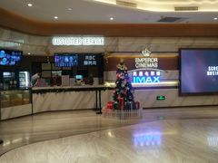 -英皇电影城(英皇集团中心IMAX店)