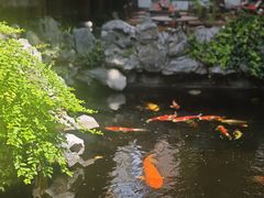-鲤院·新中式美学·庭院餐厅(夫子庙店)