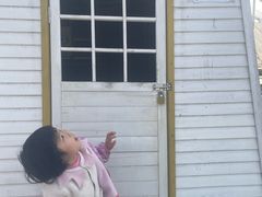 -三圣花乡旅游区