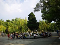 -文瀛公园