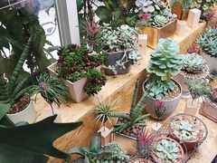 -拾壹cafe·工作室