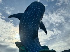 -珠海长隆海洋王国