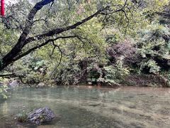 -黄山翡翠谷景区