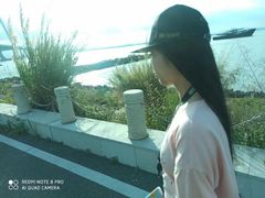 -芒洲湿地公园