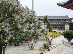 -东关清真大寺