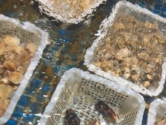 -小时候焗海鲜(鄞州万达店)