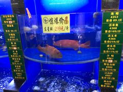 -宁海食府(大剧院店)